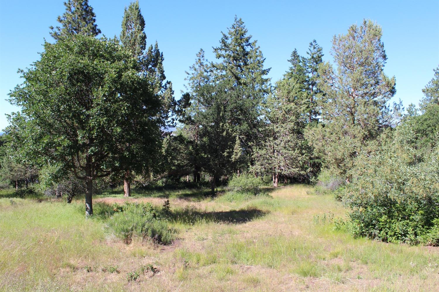 0-884 Coopers Hawk, Klamath Falls, OR 97601