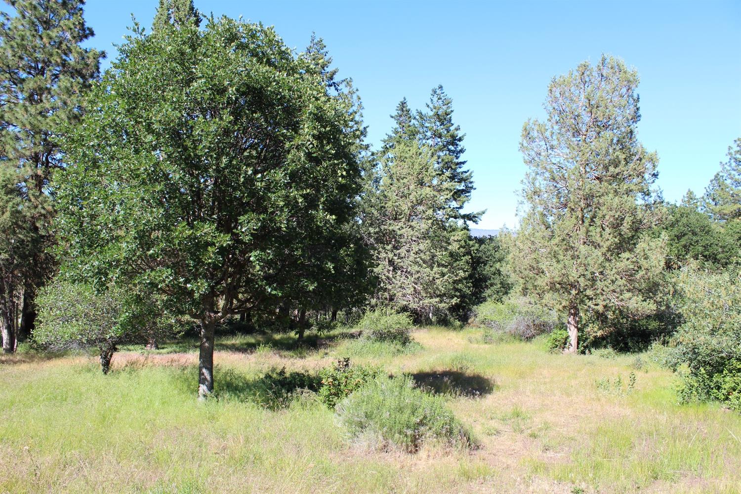 0-884 Coopers Hawk, Klamath Falls, OR 97601