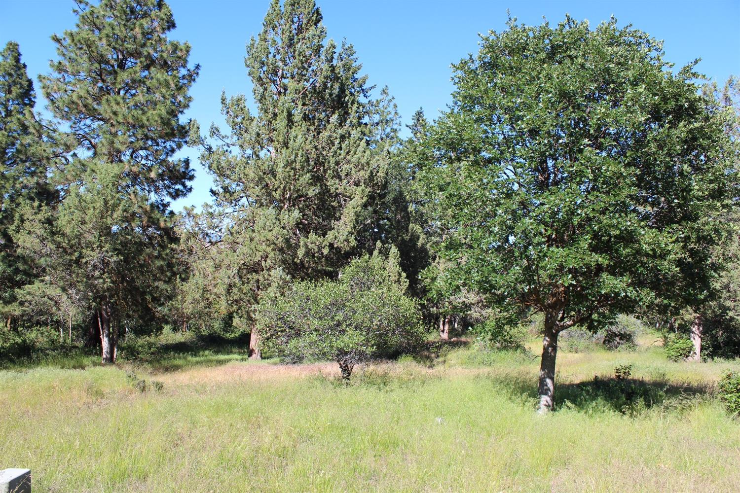 0-884 Coopers Hawk, Klamath Falls, OR 97601