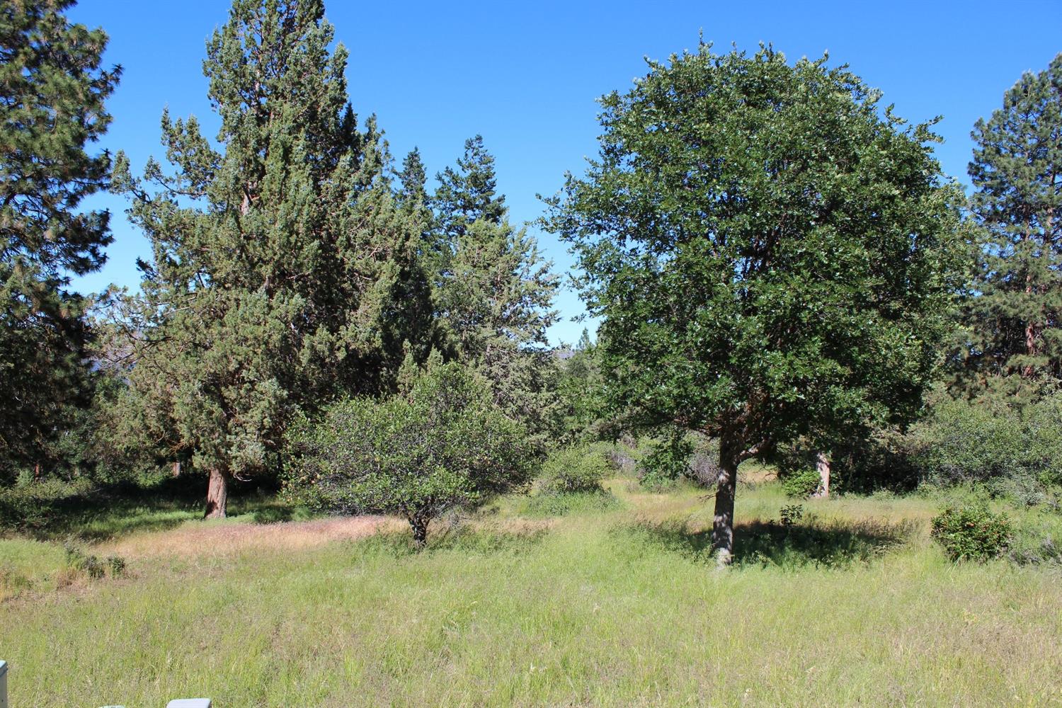 0-884 Coopers Hawk, Klamath Falls, OR 97601