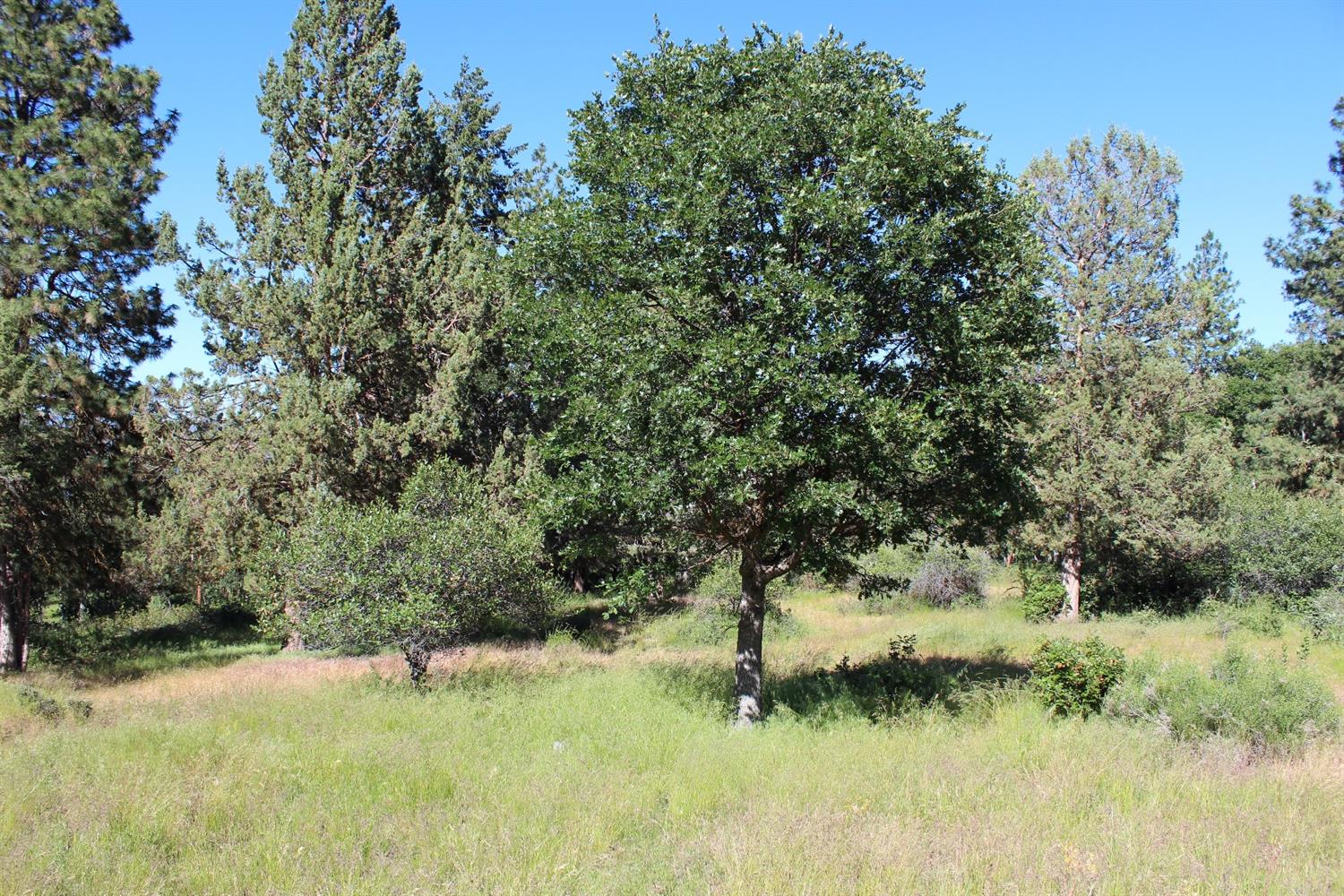 0-884 Coopers Hawk, Klamath Falls, OR 97601