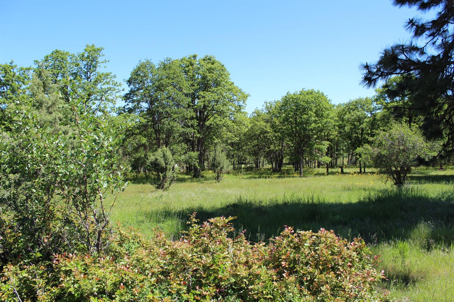 0-Lot 891 Coopers Hawk, Klamath Falls, OR 97601