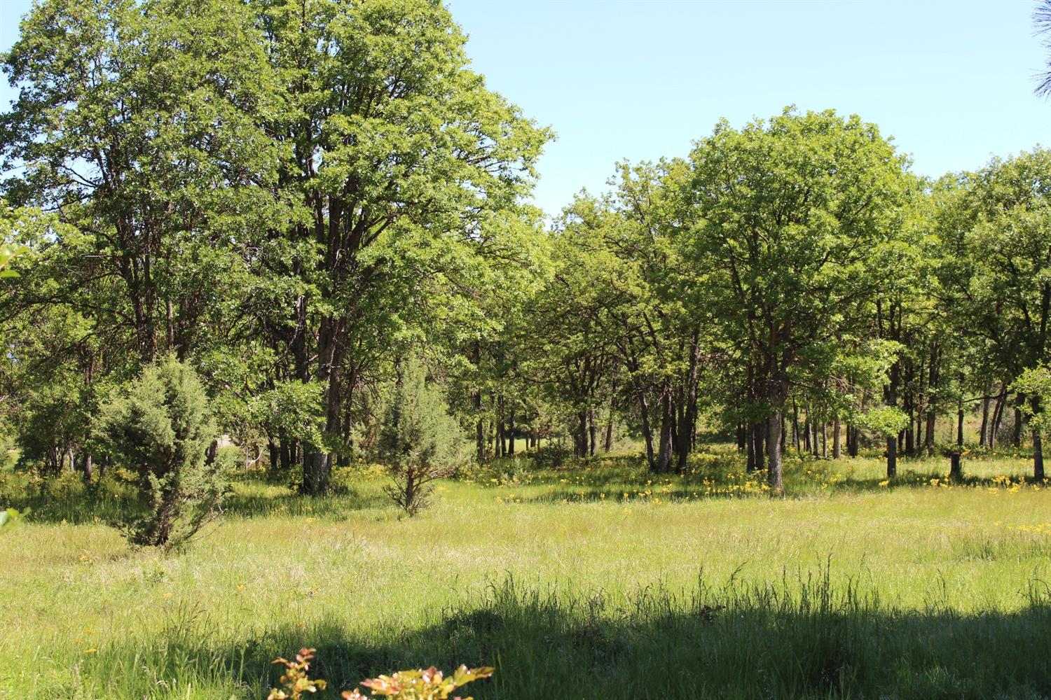 0-Lot 891 Coopers Hawk, Klamath Falls, OR 97601