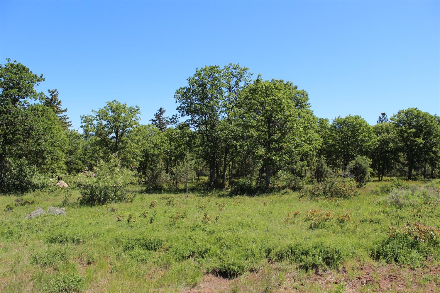 0-Lot 891 Coopers Hawk, Klamath Falls, OR 97601