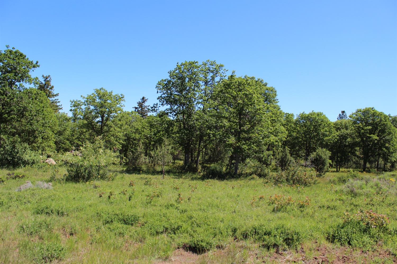 0-Lot 891 Coopers Hawk, Klamath Falls, OR 97601