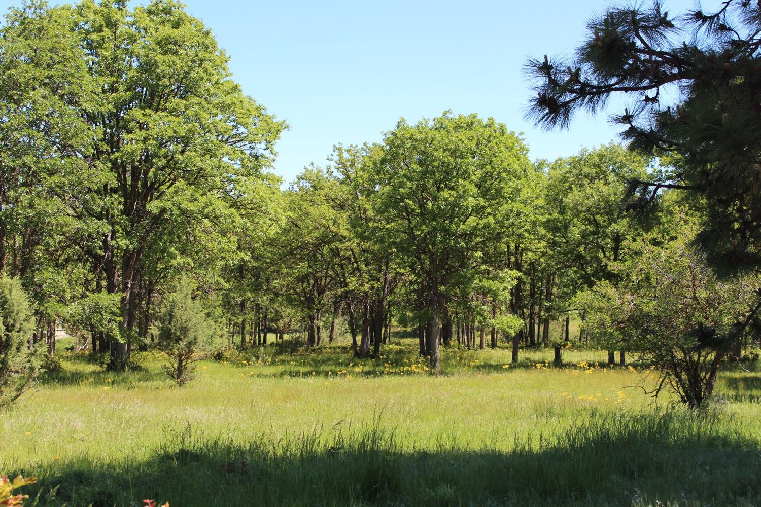0-Lot 891 Coopers Hawk, Klamath Falls, OR 97601