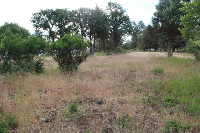 0-LOT 942 Willet Way, Klamath Falls, OR 97601