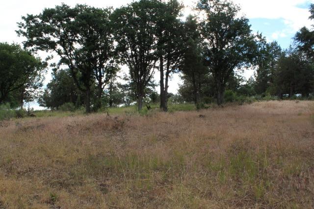 0-LOT 942 Willet Way, Klamath Falls, OR 97601