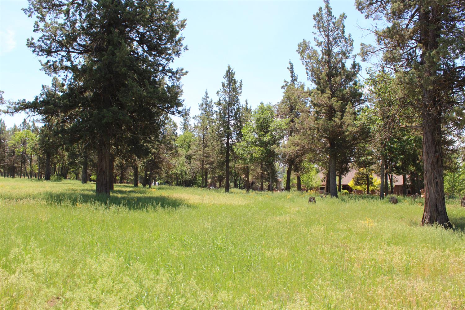 0-LOT 592 Cinnamon Teal, Klamath Falls, OR 97601