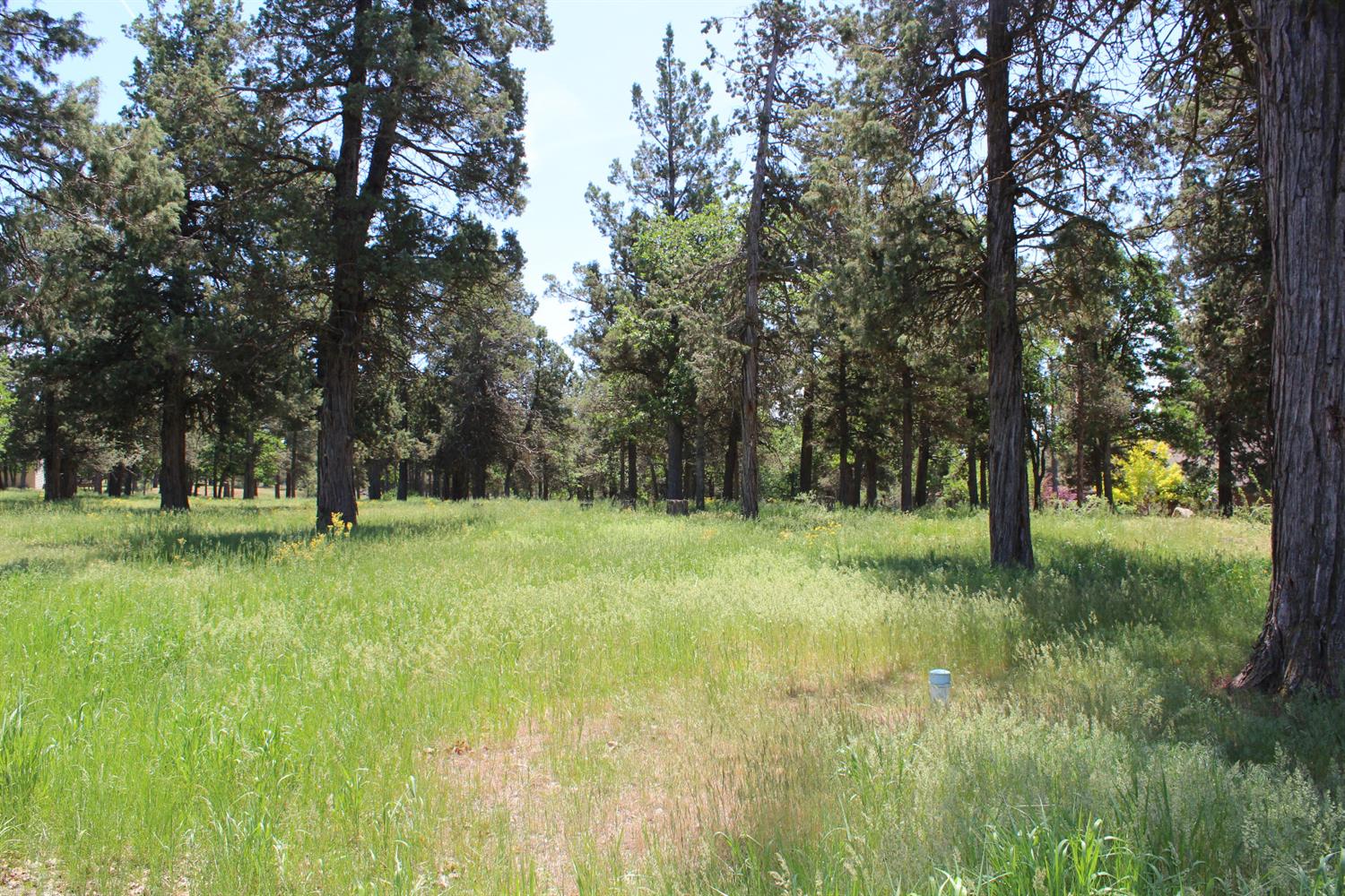 0-LOT 592 Cinnamon Teal, Klamath Falls, OR 97601