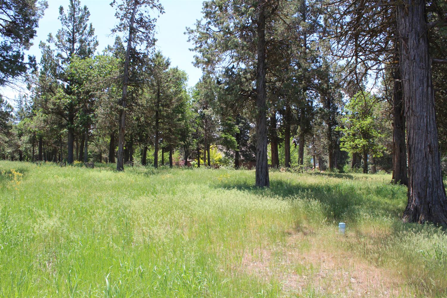 0-LOT 592 Cinnamon Teal, Klamath Falls, OR 97601