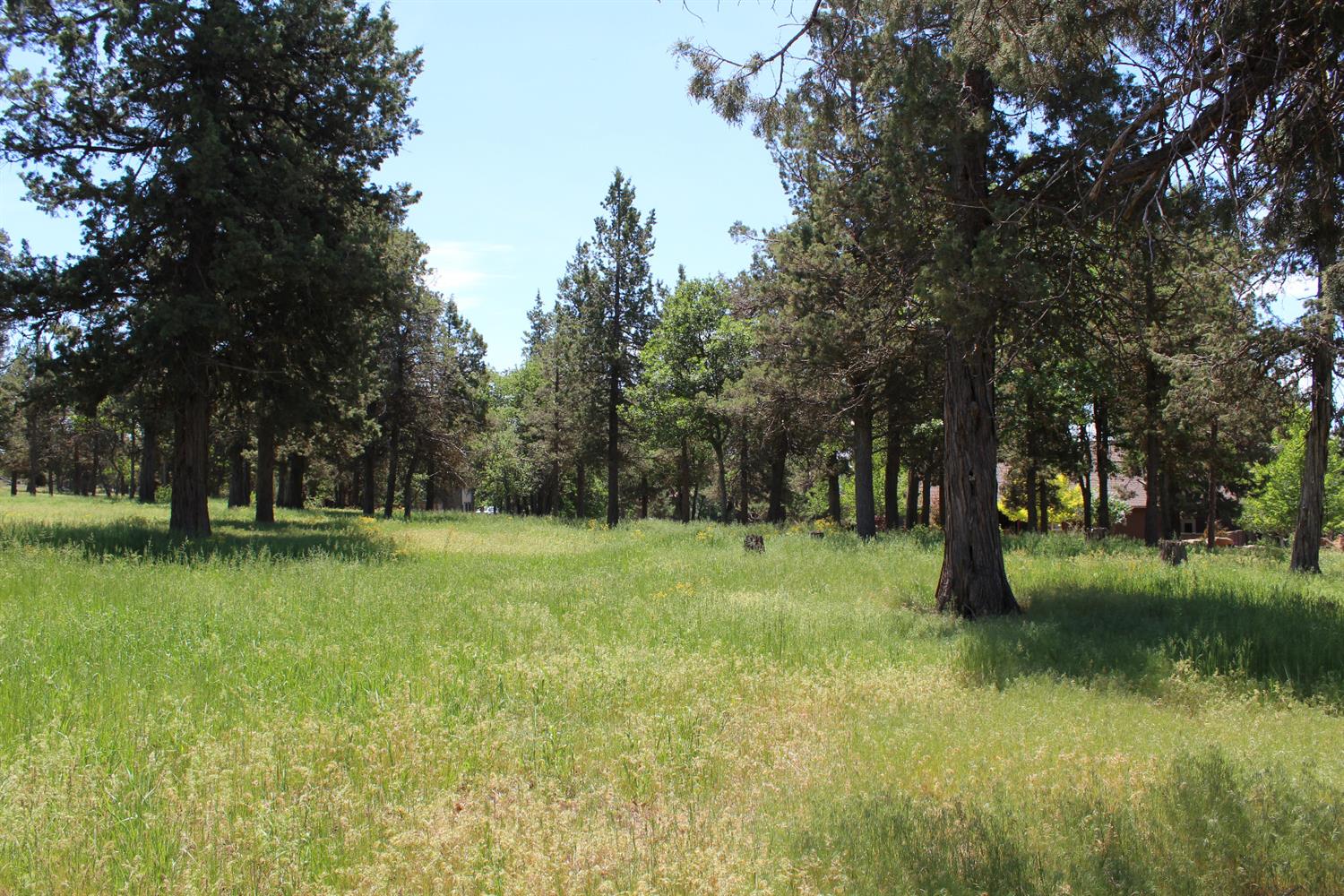 0-LOT 592 Cinnamon Teal, Klamath Falls, OR 97601