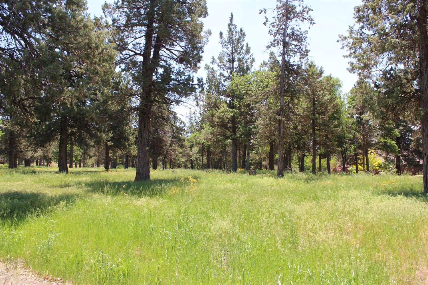 0-LOT 592 Cinnamon Teal, Klamath Falls, OR 97601