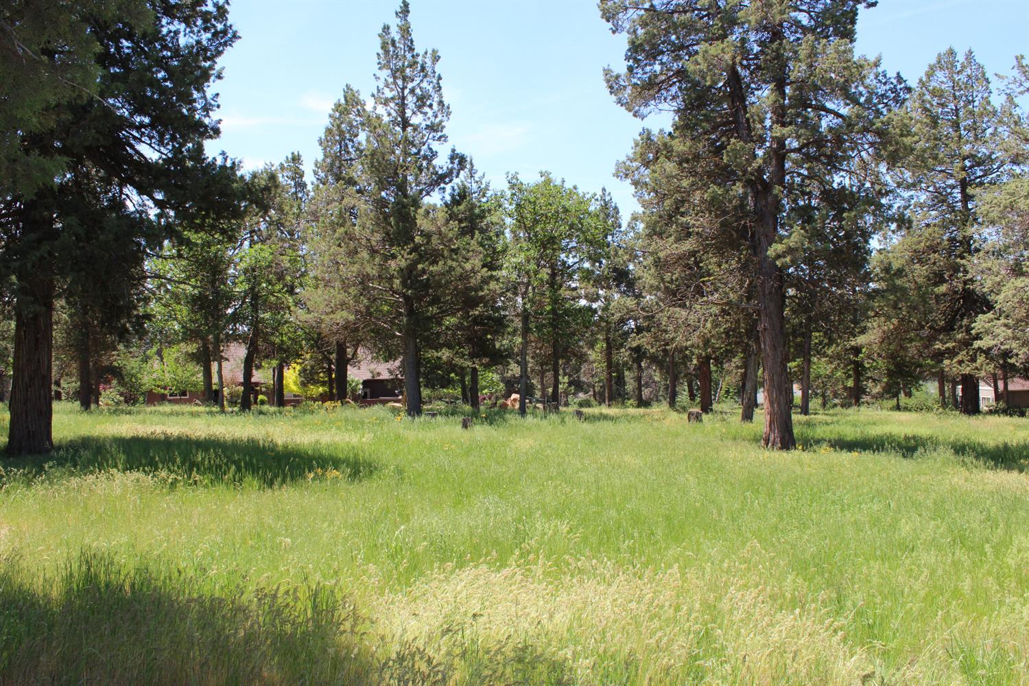 0-LOT 592 Cinnamon Teal, Klamath Falls, OR 97601