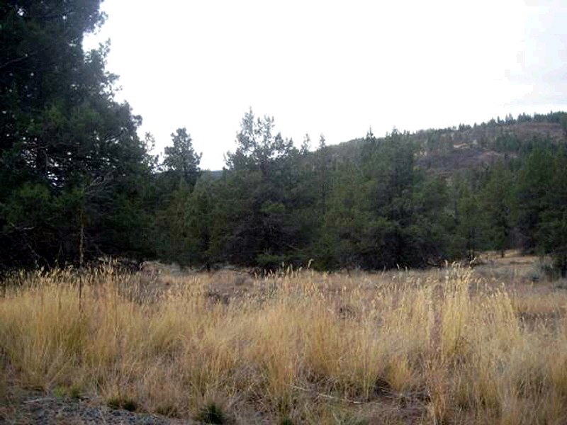 5768 Engleman Spruce Way, Klamath Falls, OR 97601