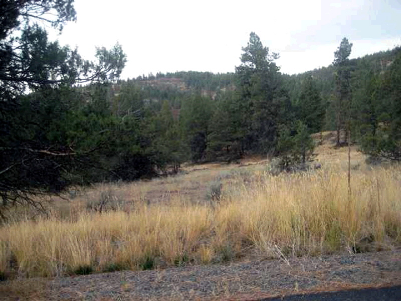 5768 Engleman Spruce Way, Klamath Falls, OR 97601