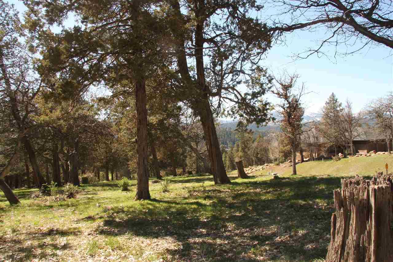 0-LOT 274 Coopers Hawk/Kestrel, Klamath Falls, OR 97601
