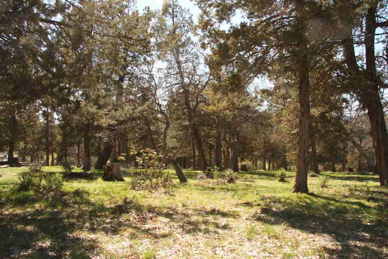 0-LOT 274 Coopers Hawk/Kestrel, Klamath Falls, OR 97601