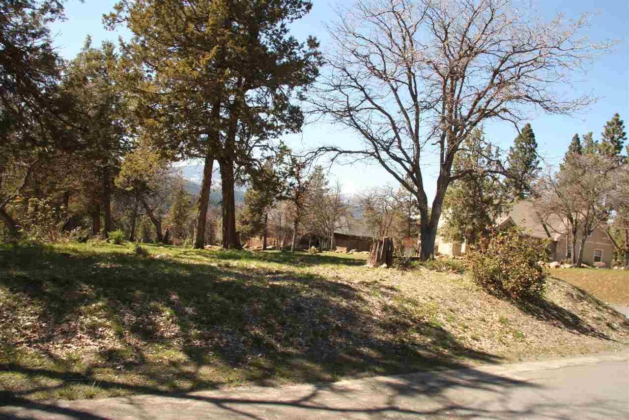 0-LOT 274 Coopers Hawk/Kestrel, Klamath Falls, OR 97601
