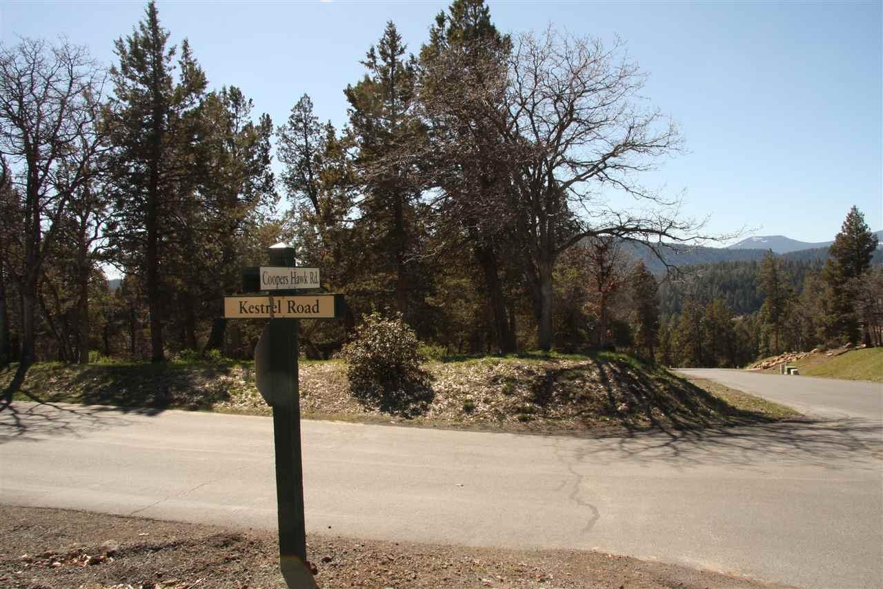 0-LOT 274 Coopers Hawk/Kestrel, Klamath Falls, OR 97601