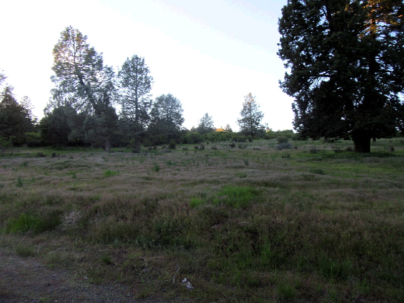 Lot 1003 Turnstone Drive, Klamath Falls, OR 97601
