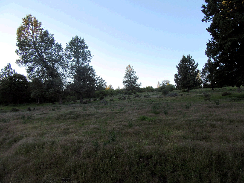 Lot 1003 Turnstone Drive, Klamath Falls, OR 97601