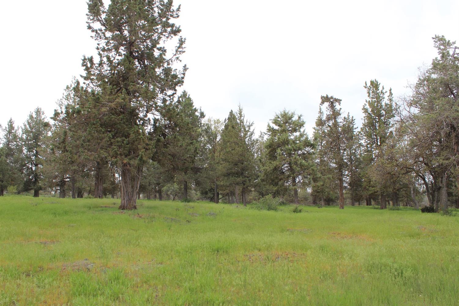 501 Cinnamon Teal, Klamath Falls, OR 97601