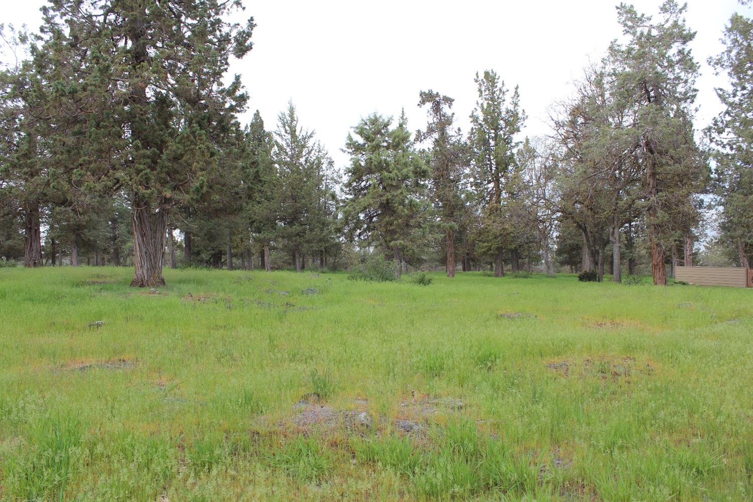 501 Cinnamon Teal, Klamath Falls, OR 97601