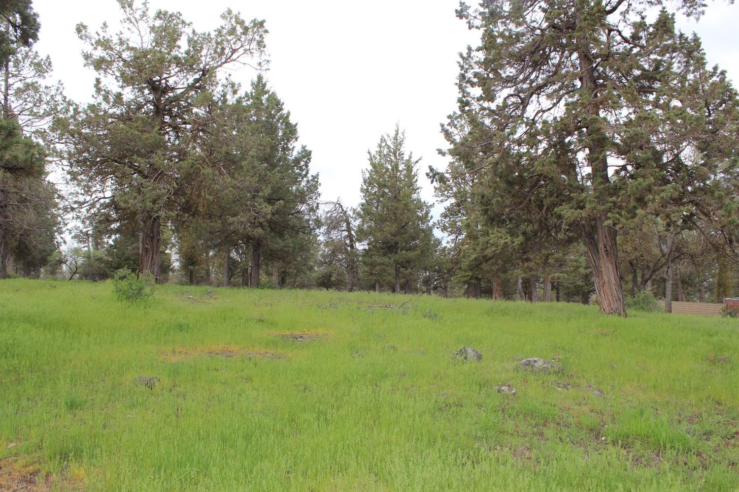 501 Cinnamon Teal, Klamath Falls, OR 97601