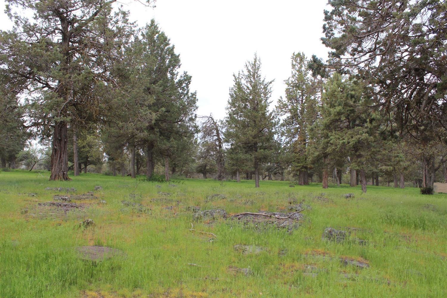 501 Cinnamon Teal, Klamath Falls, OR 97601