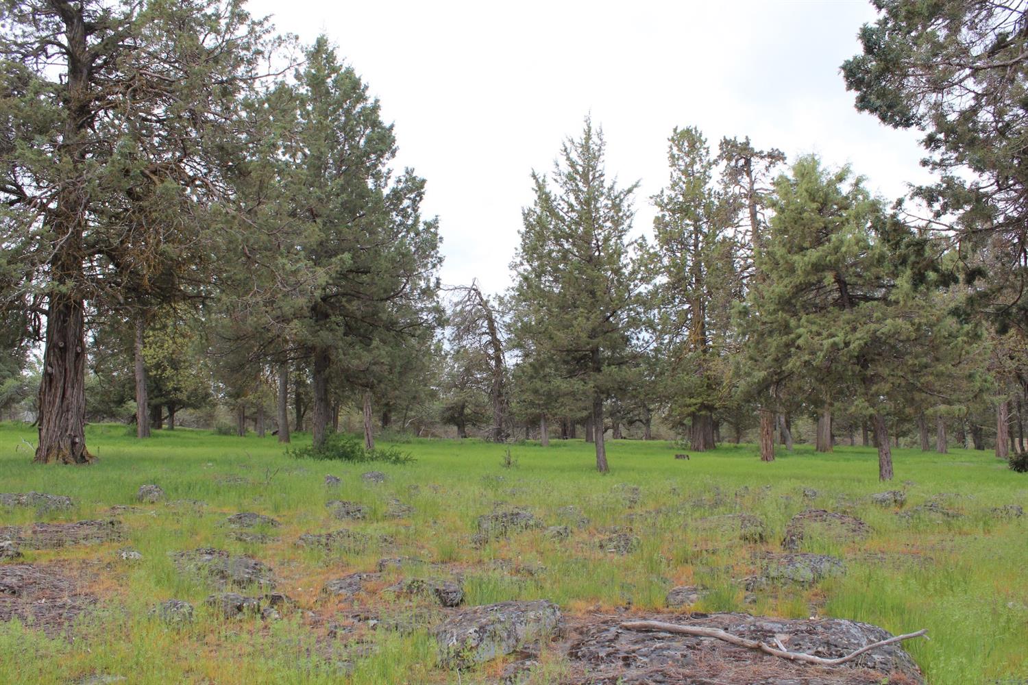 501 Cinnamon Teal, Klamath Falls, OR 97601
