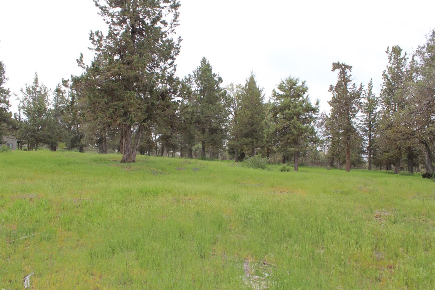 501 Cinnamon Teal, Klamath Falls, OR 97601