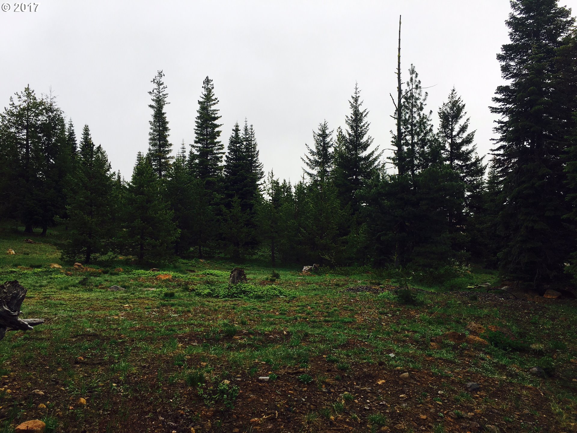 Skyview CIR 3000, Klamath Falls, OR 97601