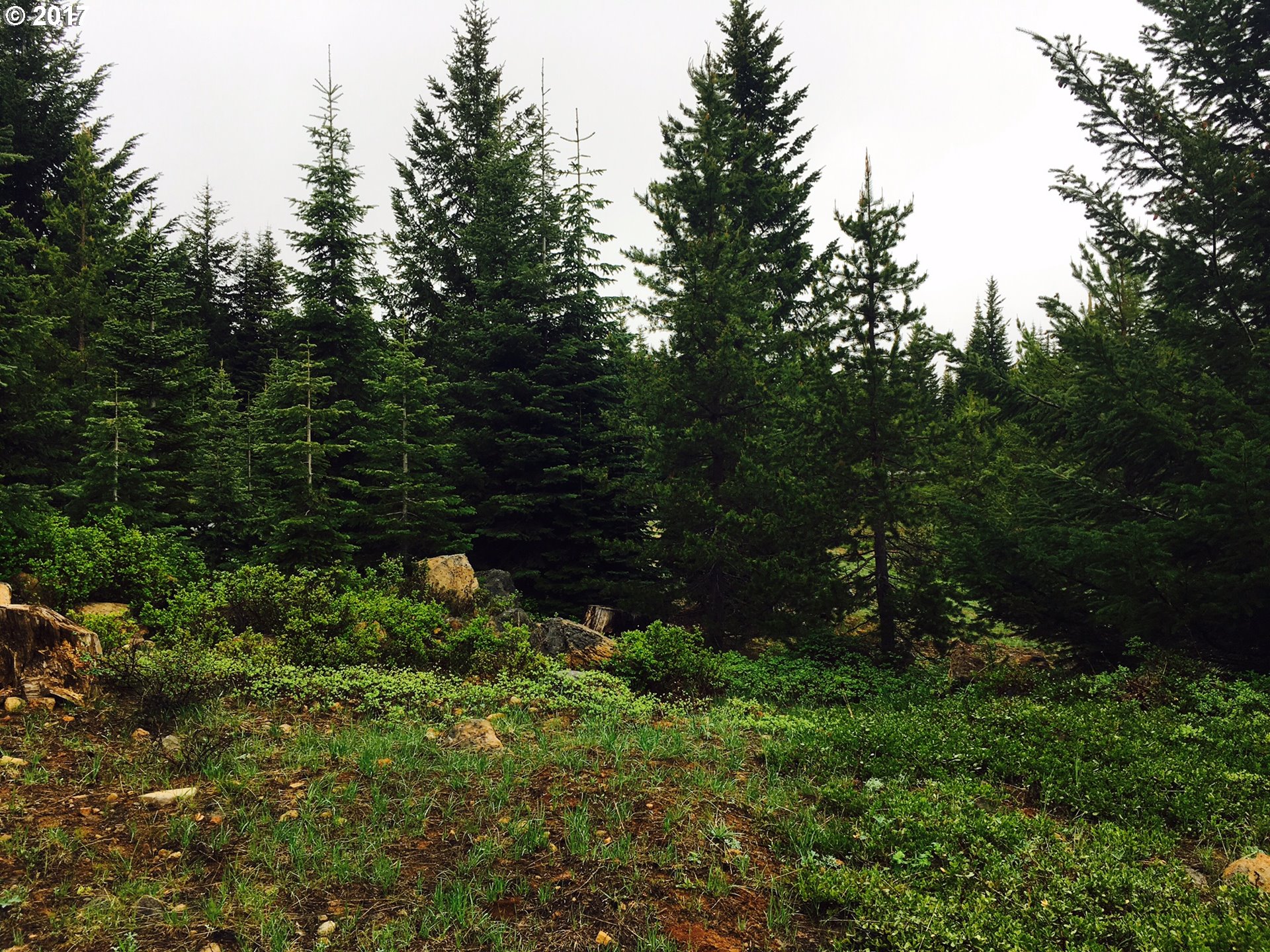 Skyview CIR 3000, Klamath Falls, OR 97601