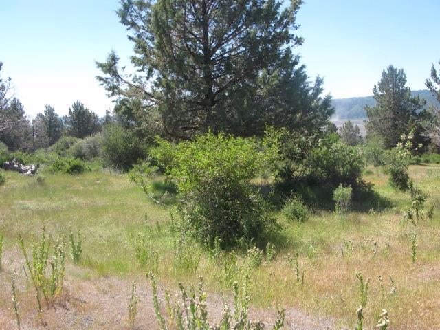 0 Crossbill Lot 989, Klamath Falls, OR 97601