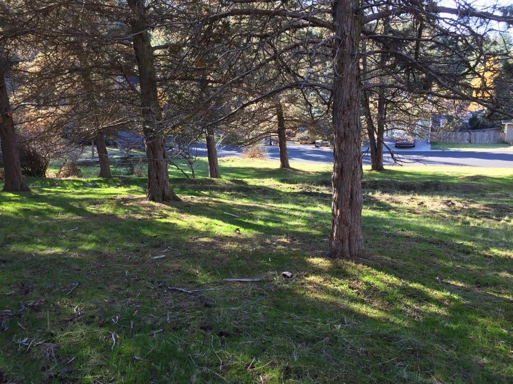 0 Wild Plum Lot 2 Block 2 Drive, Klamath Falls, OR 97601