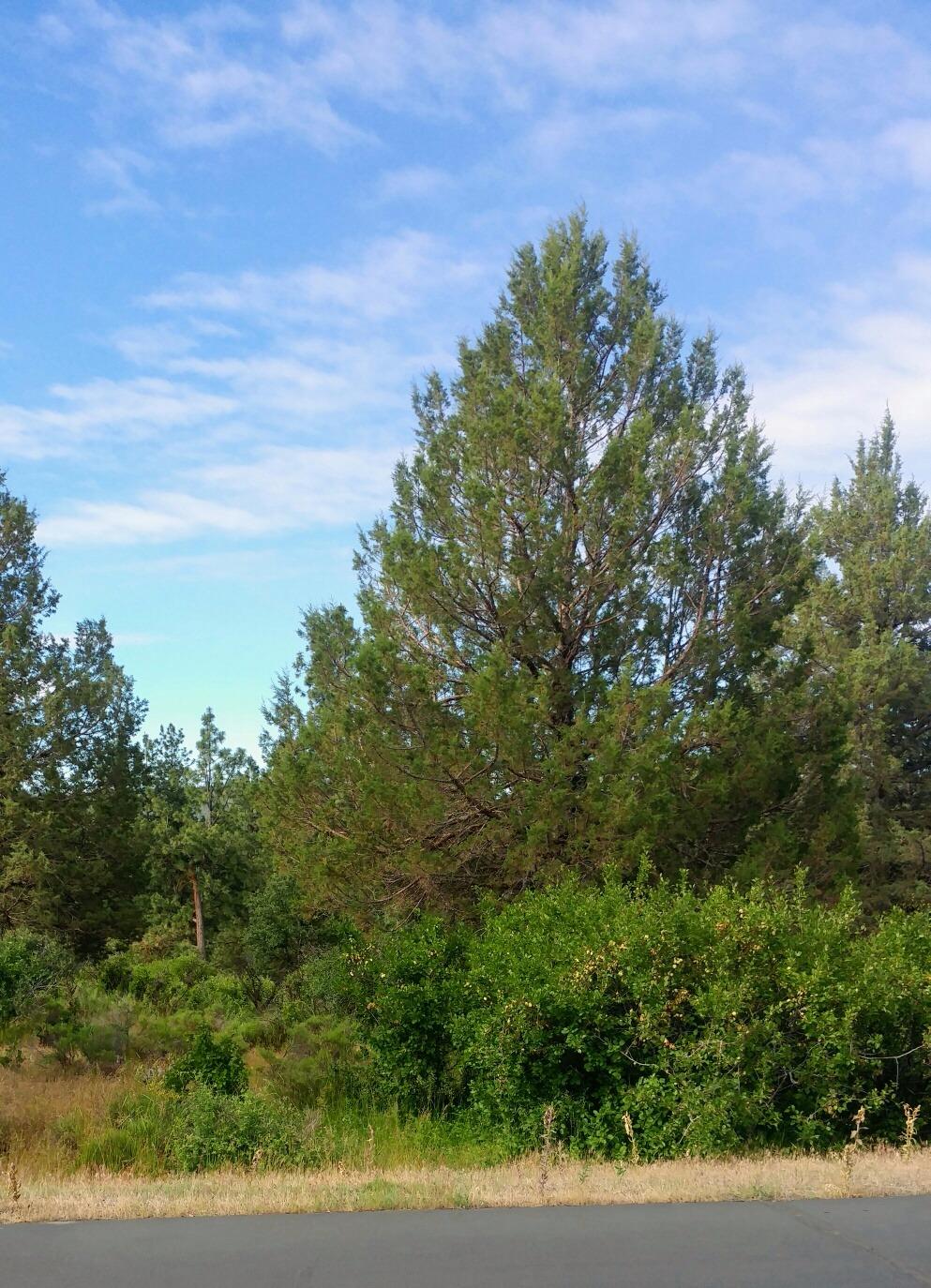 0 Lot 991 Crossbill Drive, Klamath Falls, OR 97601