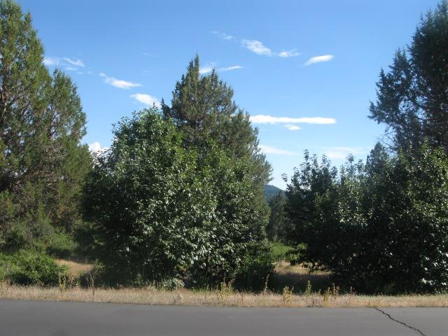 0 Lot 991 Crossbill Drive, Klamath Falls, OR 97601