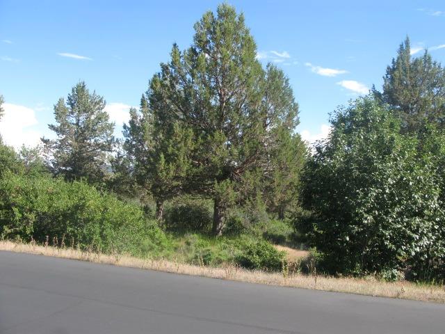 0 Lot 991 Crossbill Drive, Klamath Falls, OR 97601