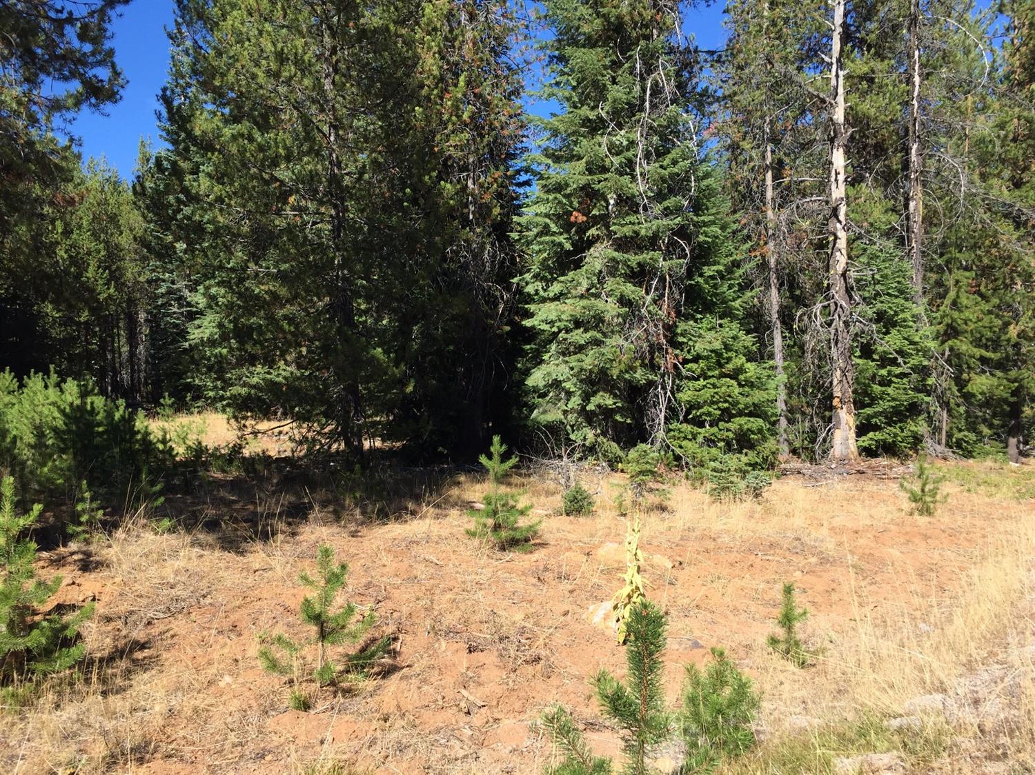 0 Skiway Drive, Klamath Falls, OR 97601
