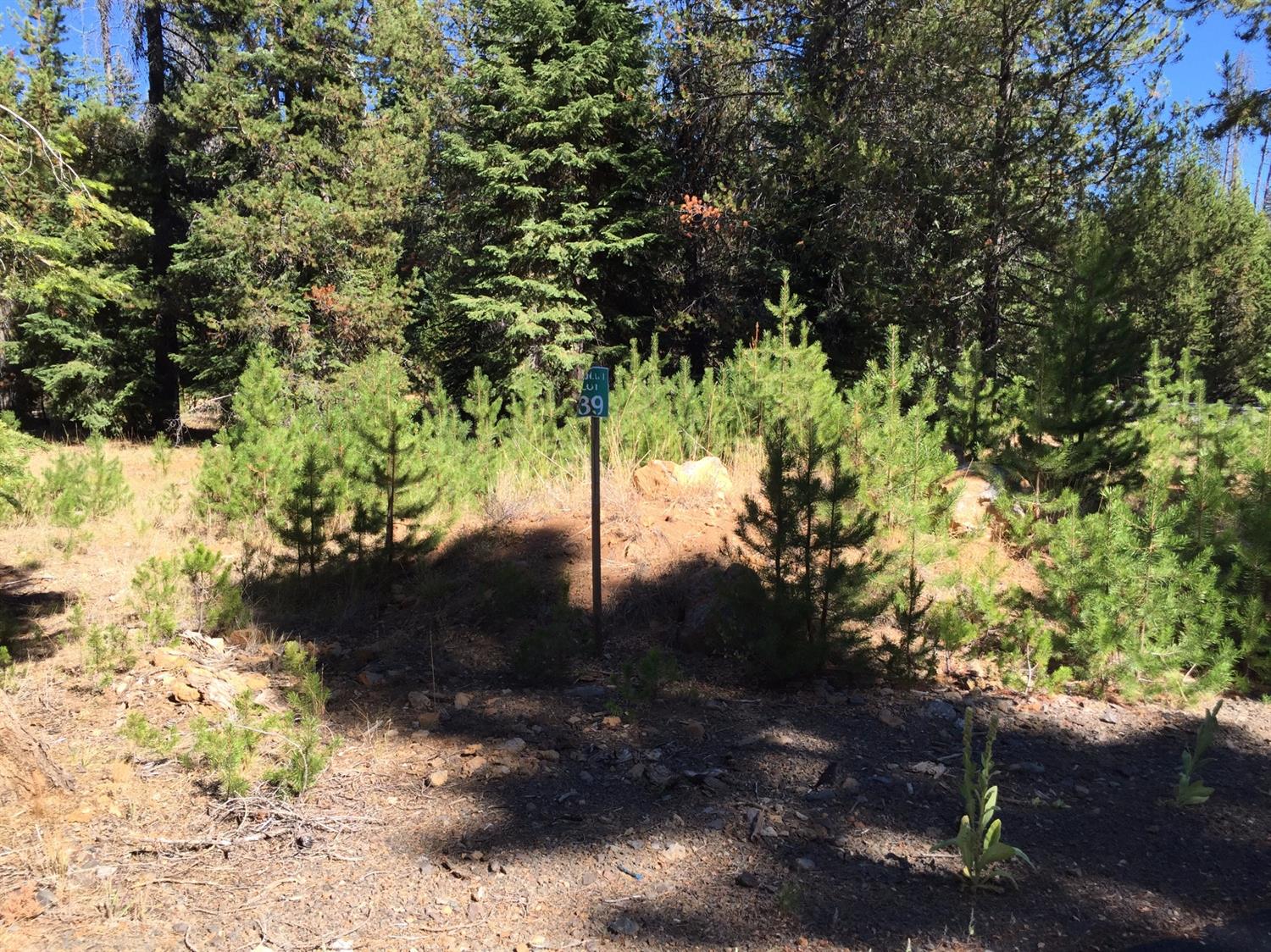 0 Skiway Drive, Klamath Falls, OR 97601