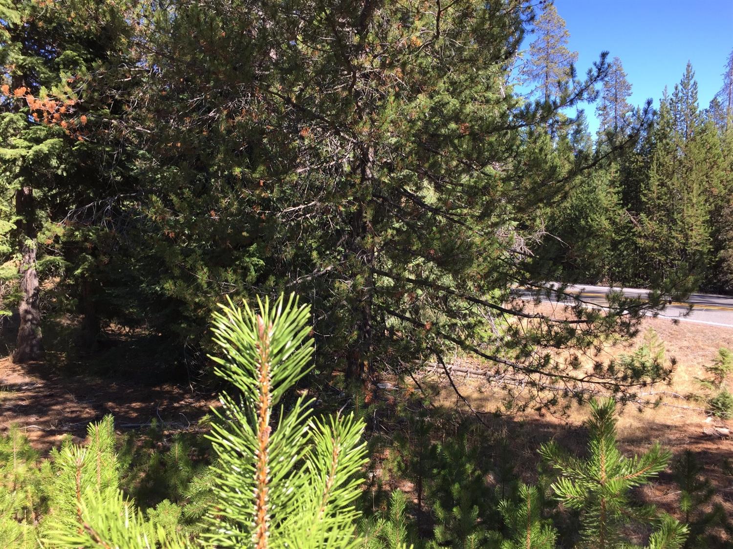 0 Skiway Drive, Klamath Falls, OR 97601