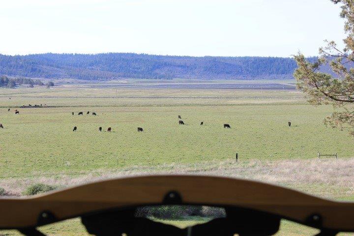 0 Parula Lot 1146 Road, Klamath Falls, OR 97601