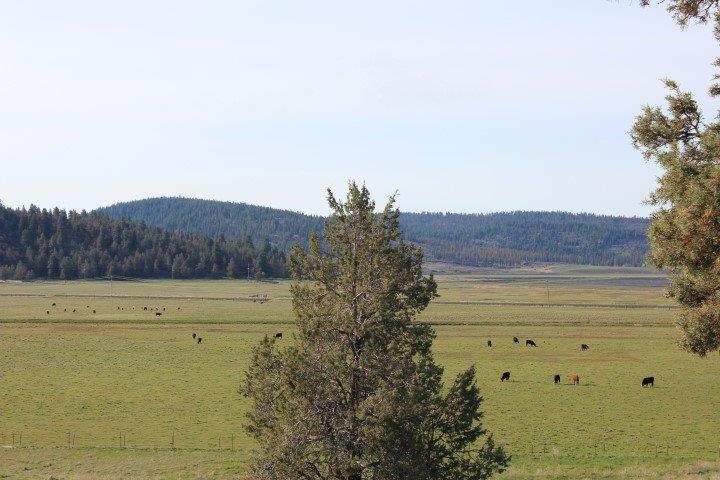 0 Parula Lot 1146 Road, Klamath Falls, OR 97601