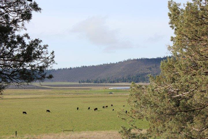 0 Parula Lot 1146 Road, Klamath Falls, OR 97601