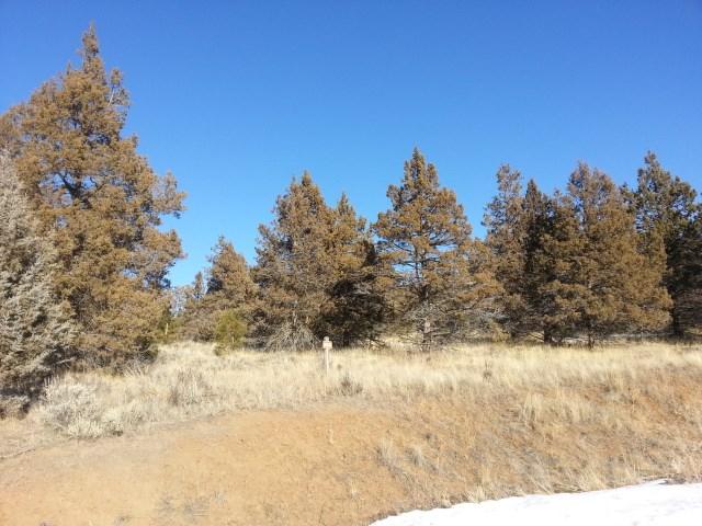 1135 Oregon Ash, Klamath Falls, OR 97601