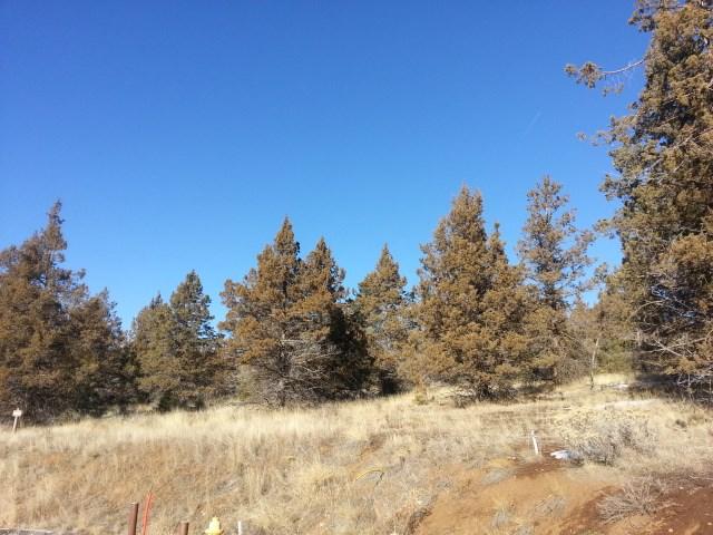 1135 Oregon Ash, Klamath Falls, OR 97601