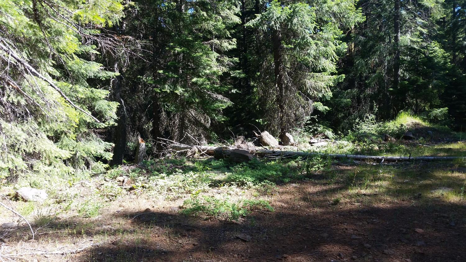 0 Chin-Tolk Street, Rocky Point, OR 97601