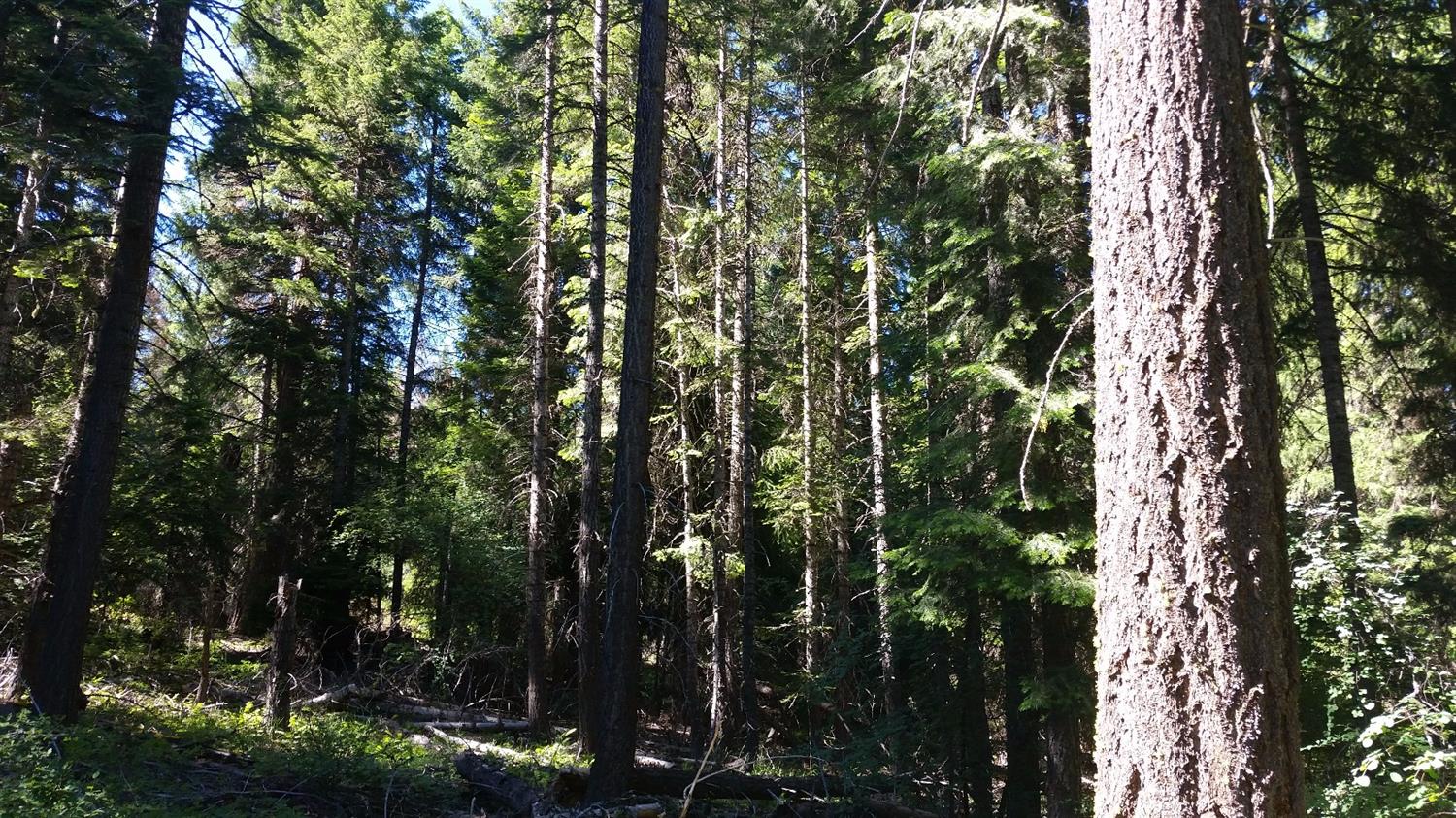 0 Chin-Tolk Street, Rocky Point, OR 97601
