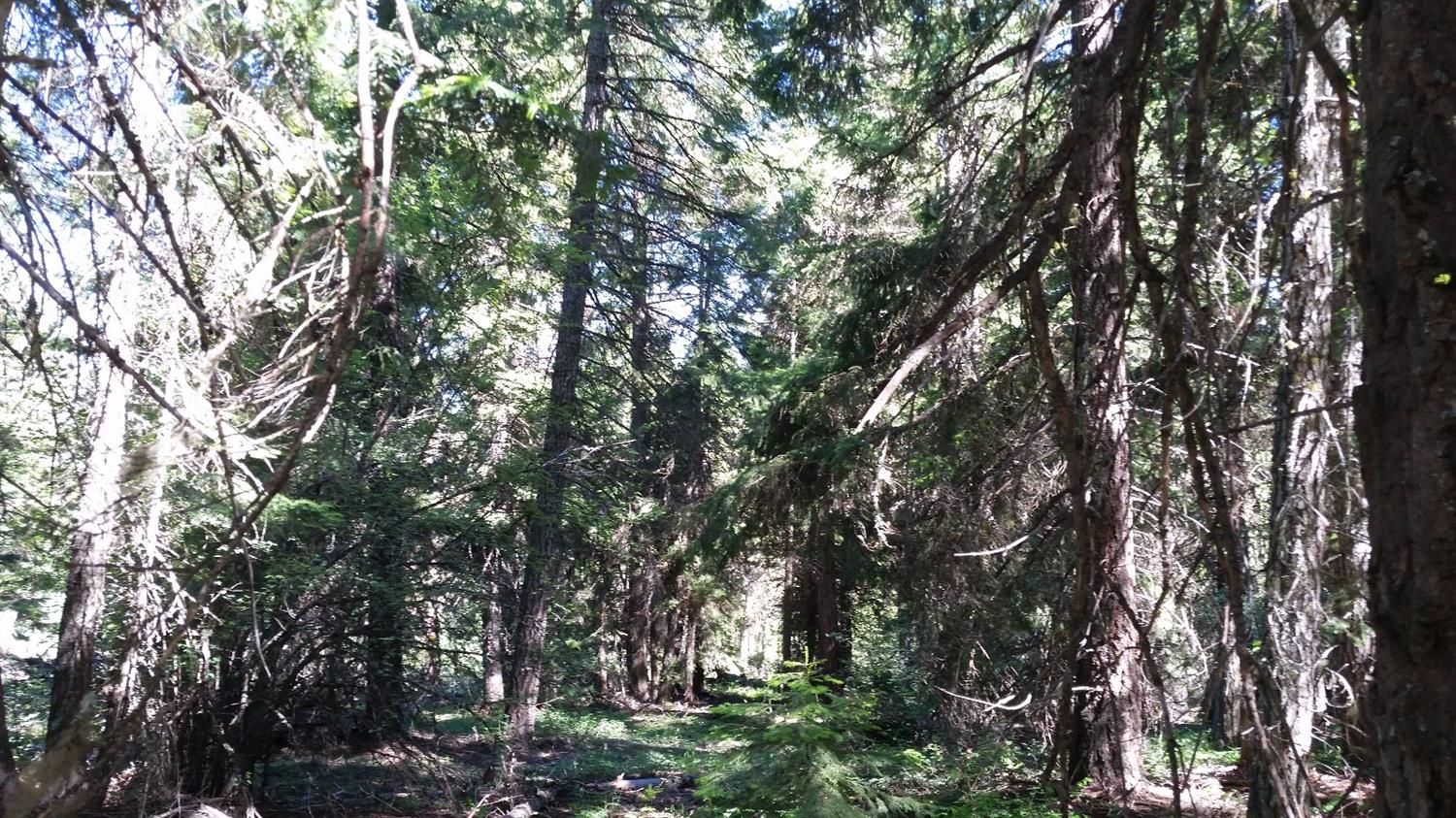 0 Chin-Tolk Street, Rocky Point, OR 97601